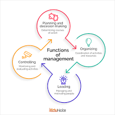 What Is The Management Process