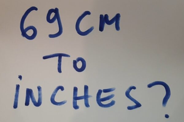 69 cm in inches