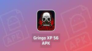 Key points about gringo xp