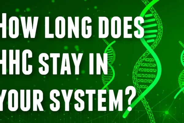 how long does hhc stay in your system